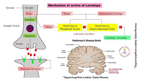 Antiparkinsonian Drugs Free Pharmacology Notes - 2021 - MyPharmaGuide.Com