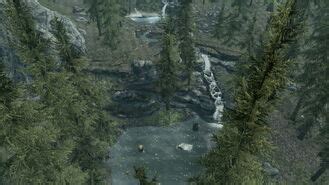 Evergreen Grove - The Elder Scrolls Wiki