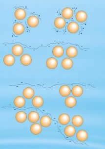 Difference between Coagulation and Flocculation | Coagulation vs Flocculation