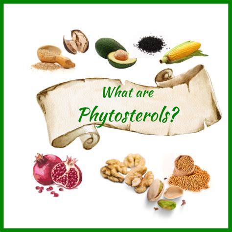 What are phytosterols?