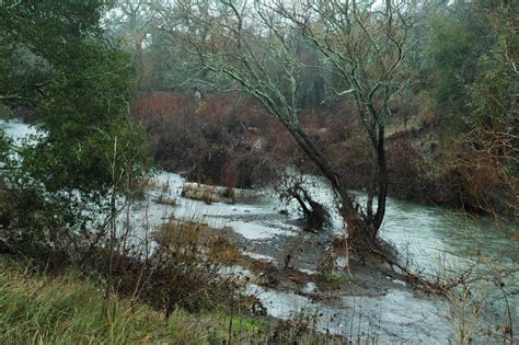 Napa River Ecological Reserve | Napa Outdoors