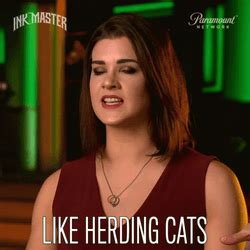 Herding Cats GIFs | GIFDB.com