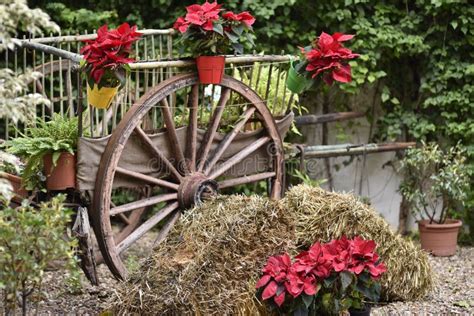 Wooden Wheelbarrow with Beautiful Decorations in the Garden Stock Photo ...