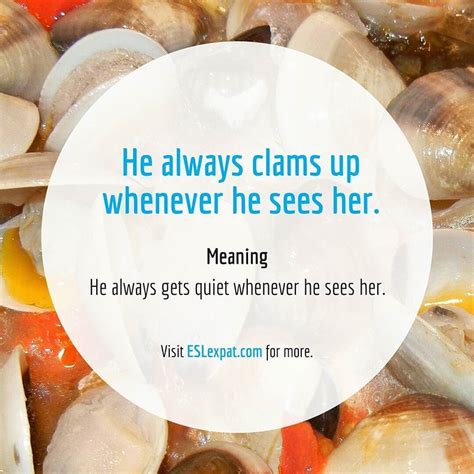 New idiom: clam up - #clamup #idioms #phrases #tefl #tesl #tesol #elt #learningenglish ...