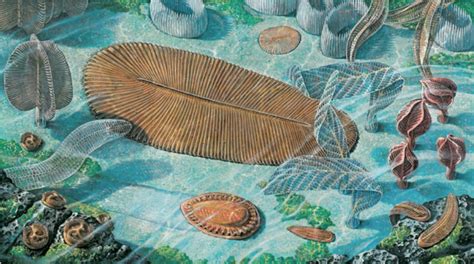 Precambrian Time - The Time and Eras Museum