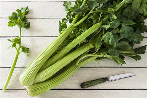 Celery Nutrition: Facts and Benefits | The Beachbody Blog