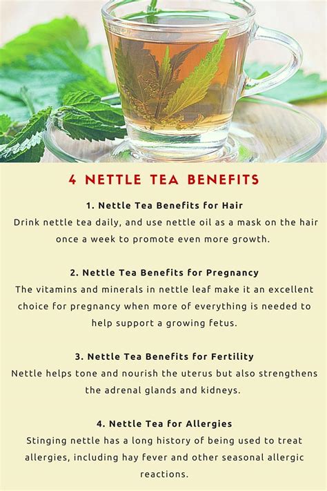 4 Amazing Nettle Tea Benefits