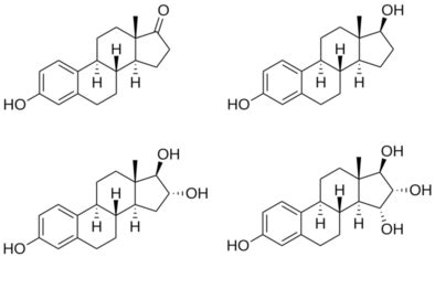 Estrogen - Wikipedia