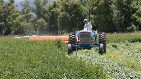 LAGUNA, PHILIPPINES - DECEMBER 19, 2014: Farm Worker Uses Hand Tractor ...