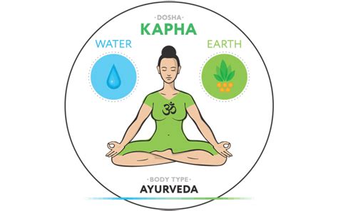 Kapha Dosha - Governs Structure & Stability - The Supporter