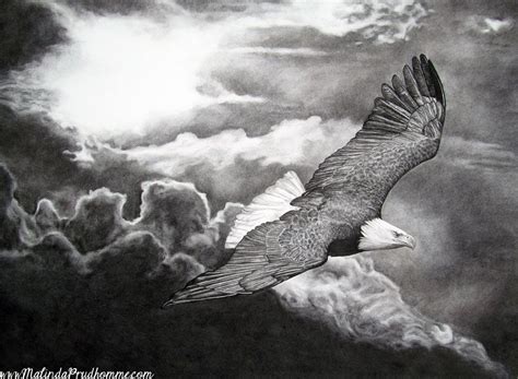 eagle, eagle art, eagle drawing, eagle charcoal drawing, custom charcoal drawing | Charcoal ...