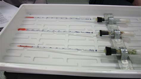 Amy Brown Science: Measuring the Rate of Cellular Respiration ...