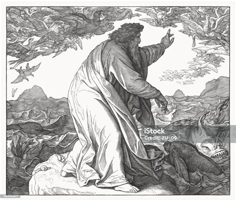 Creation Of The World Woodcut Published 1860 Stock Illustration ...