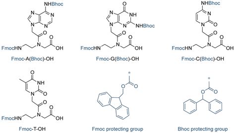 Biomacromolecules - Chris Chavez