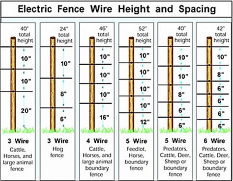 The Best Goat Fencing: Everything You Need To Know – Couch to Homestead