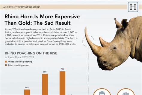 18 Compelling Rhino Poaching Statistics - BrandonGaille.com