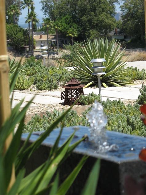 Save Water with Drought Resistant Landscaping | Moving Happiness Home