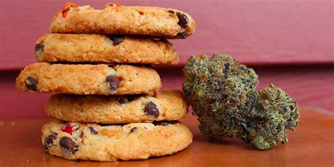 Everything You Need to Know About Edibles - CAA South Central Ontario