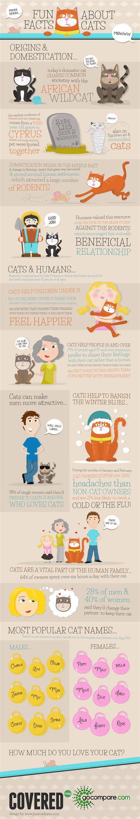 Infographic: Fun facts about cats - Covered mag, presented by Gocompare.com