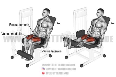 Leg Extension Machine