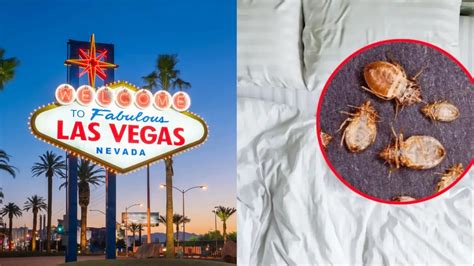 Las Vegas Hotels infested with Bed Bugs | Complete List