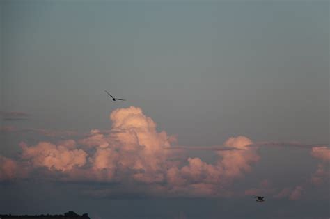 Clouds,sky,birds,landscape,blue - free image from needpix.com