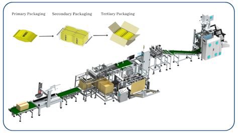 Effortless Packaging Precision: Automated Case Packer Redefines Pouch Handling | by Jasdeep ...