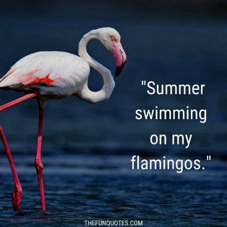 Flamingo Sayings and Flamingo Quotes With Images - THEFUNQUOTES