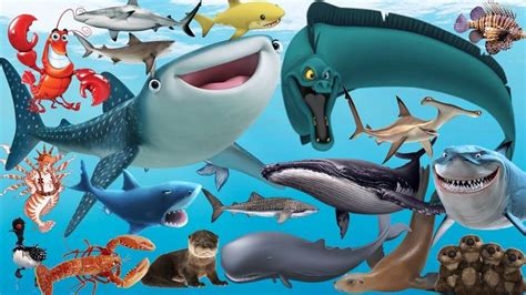 Learn Sea Animals NEW | Disney Pixar Finding Dory, Nemo And Shark Name - Handplaytv Learn for ...