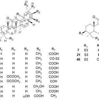 Triterpene saponins in G. inflata. | Download Scientific Diagram