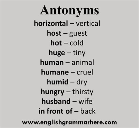 Antonyms Examples 100, English Antonym Opposite Words List - English Grammar Here