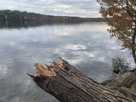 Squam Lake, NH : camping