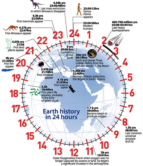 Geological-Clock.gif (1033×1200) | Earth science, Geologic time scale ...