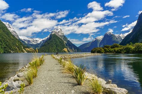 Milford Sound, New Zealand (Scenic Cruising)