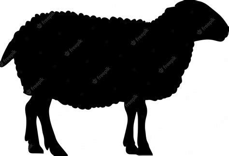 Premium Vector | Sheep vector silhouette illustration