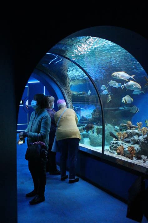 Underwater Tunnel with Aquariums in the Aquarium for Visitors with Sea ...