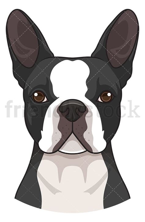 Boston Terrier Face Cartoon Clipart Vector - FriendlyStock