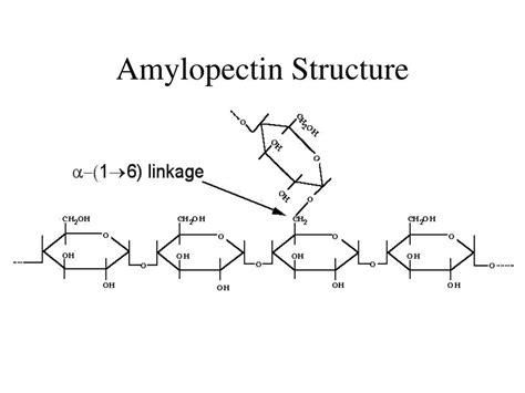 PPT - Starch PowerPoint Presentation - ID:175829