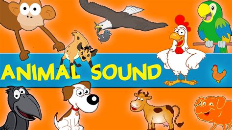 Animals Sounds | Sounds of the Animals Song | Learn Animal and Sounds of Animals - YouTube