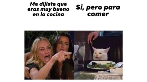 Memes De Gatos Llorando 2020 Los memes en cuarentena comenzaron divertidos graciosos algo as ...