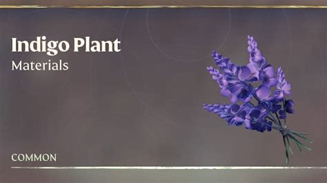 How to Get Indigo Plants in Enshrouded - Twinfinite