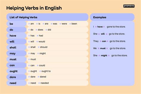 Helping Verb | Promova Grammar