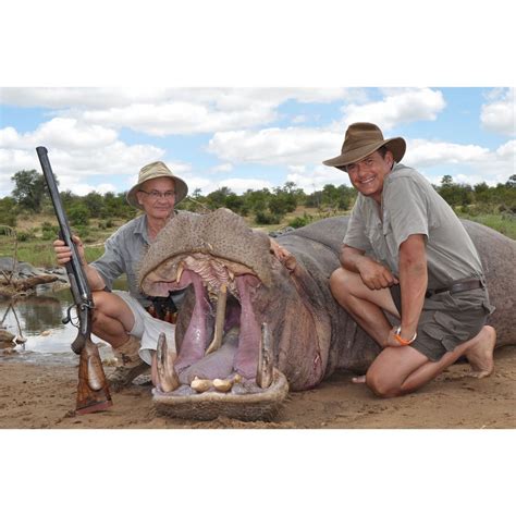 7-Day Hippo Hunt for One Hunter in South Africa - Includes Trophy Fee ...