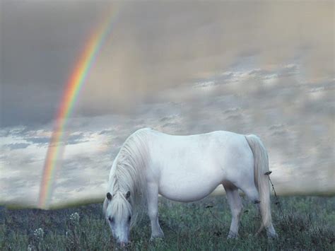 White Wolf : Beautiful White Horses ( Mythology - Photos)