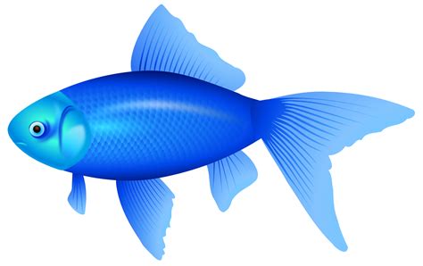 Transparent Fish Clipart