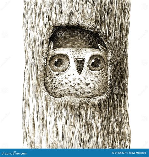 Cute Baby Owl Sitting In The Tree Hollow Stock Vector - Image: 61396137