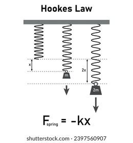 Hookes Law Physics Spring Force Weight Stock Vector (Royalty Free ...