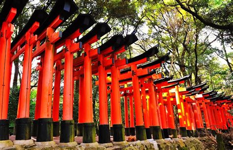 18 Top Tourist Attractions in Kyoto | PlanetWare