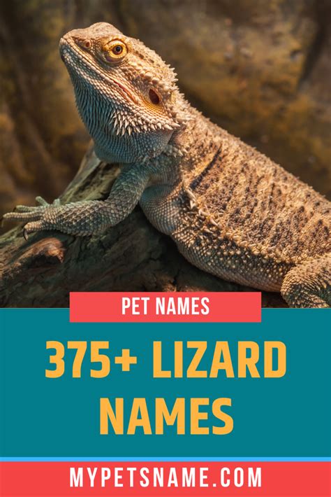 Lizard Names | Lizard names, Reptiles names, Pet names unique