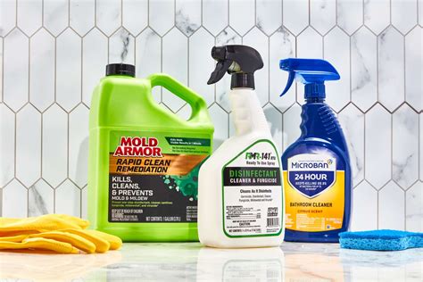 Mold Removal Products: An Essential Tool for Healthy Homes - Somnusthera